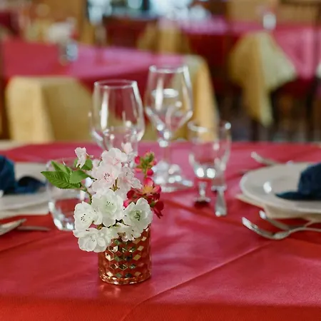 Hotel Lauretta Bellaria-Igea Marina